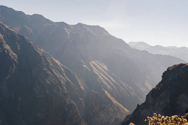 Güney Peru 'daki Colca Kanyonu' nun manzarası, Arequipa Bölümü. Dünyanın en büyük kanyonu.
