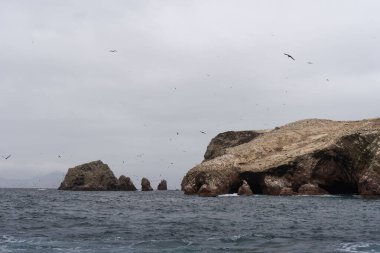 Peru 'daki ulusal park manzarası, Isla Ballestas. Bulutlu bir günde uçan bir grup kuş