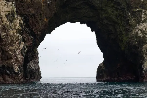 stock image Landscape of arch in national park Isla Ballestas in Peru