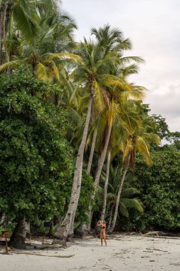 Sarışın kadın cennette vahşi tropikal palmiye ağaçlarının sahillerinde su içiyor. Panama 'da seyahat tatili. Kopyalama alanı için pankart mahsulü. 