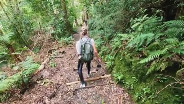 Imagens Caucasiano Mulher Loira Caminhante Descendo Escadas Verde Floresta Rastreamento — Vídeo de Stock