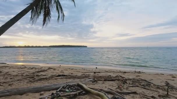 4Kビデオ熱帯の島のビーチやヤシの木の上に美しい夕日を示すブロンドの観光客の女性 パナマのボカス — ストック動画