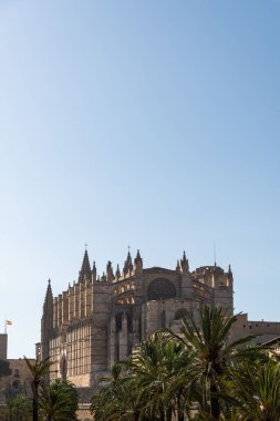 Palma de Mallorca 'daki La Seu Katedrali, Balear Adaları, İspanya. Boşluğu kopyala
