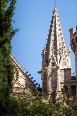 İlk manzara, Palma de Mallorca 'daki La Seu Katedrali' nin portresi, Balear Adaları, İspanya
