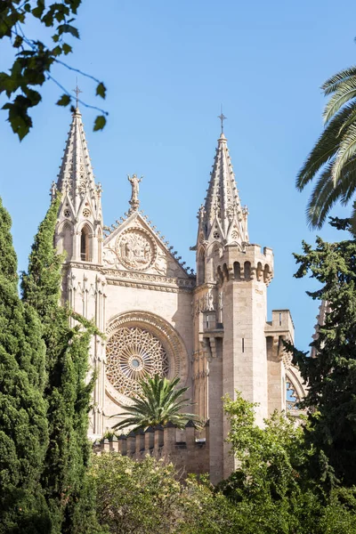 Catedral Seu Palma Maiorca Ilhas Baleares Espanha — Fotografia de Stock