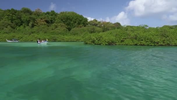Lago Tranquilo Idílico Color Turquesa Rodeado Naturaleza Panamá — Vídeos de Stock