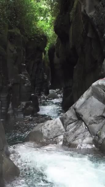 Κατακόρυφο Πανοραμικό Βίντεο Νερό Τρέχει Κατά Μήκος Ενός Φυσικού Φαραγγιού — Αρχείο Βίντεο