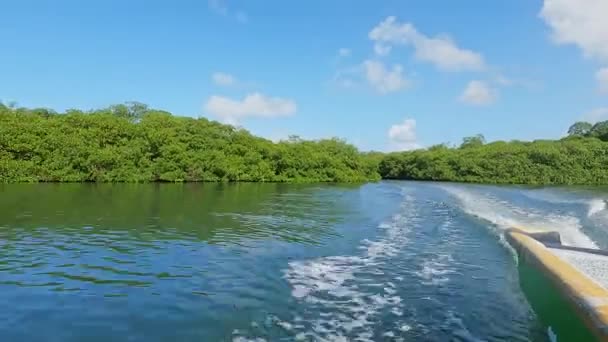 Video Bote Con Vista Trasera Amarrado Una Laguna Tropical Con — Vídeos de Stock