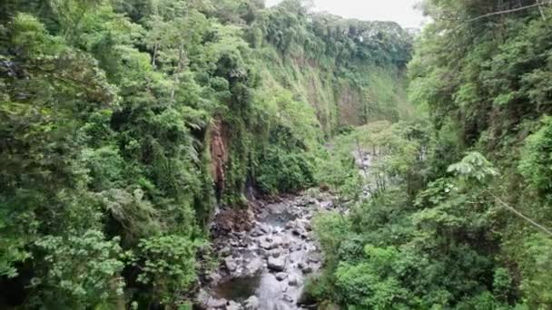 Вид Дрон Чудова Річка Посеред Джунглів Панами — стокове відео
