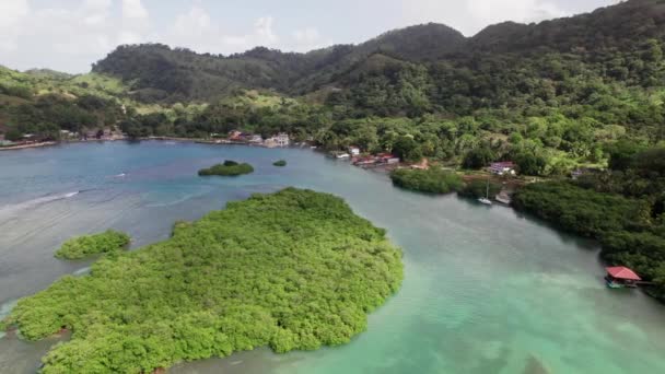 Video Vista Aérea Exótico Paraíso Tropical Con Agua Turquesa Venas — Vídeos de Stock