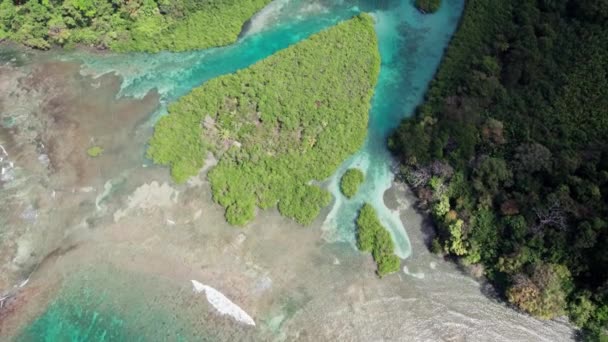 Drone Bovenaanzicht Van Een Turquoise Rivier Die Het Land Venas — Stockvideo