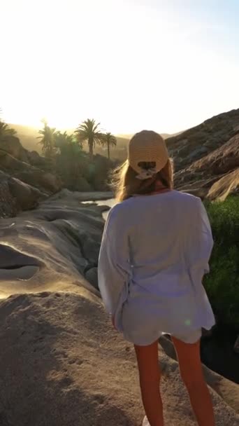 Vídeo Vertical Retrovisor Tiempo Real Una Mujer Rubia Contemplando Oasis — Vídeo de stock