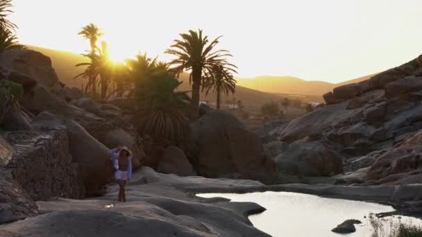 Горизонтальное Видео Режиме Реального Времени Счастливого Туриста Наслаждающегося Оазисе Закате — стоковое видео