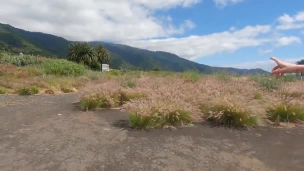 島を訪れる道を歩きながら地平線を指す男のリアルタイムのビデオ — ストック動画
