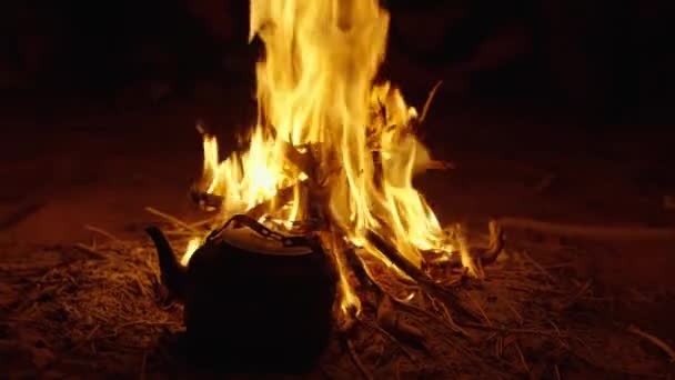 Karanlıktaki Şenlik Ateşinin Içindeki Hareket Ateşi Videosu Kamp Kavramı — Stok video