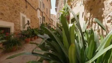 Sokak bitkileriyle dolu taştan bir patikanın kişisel bakış açısına sahip el teli videosu.