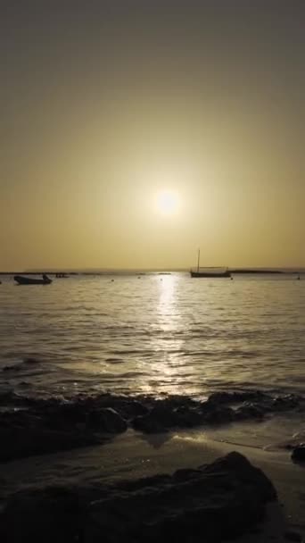 Pionowe Wideo Zachodu Słońca Spokojnym Morzu Falami Przybywającymi Plażę — Wideo stockowe