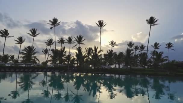Palmiye Ağaçlarının Gerçek Zamanlı Yatay Videosu Suyun Yanında Deniz Esintisiyle — Stok video
