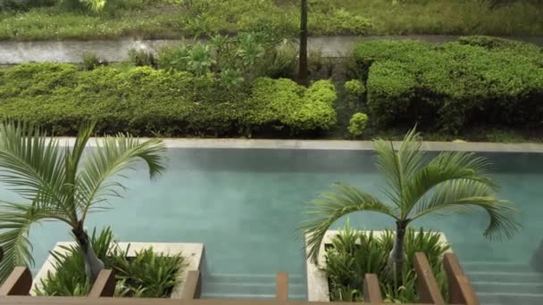 식물에 둘러싸인 수영장에서 떨어지는 방울의 실시간 비디오 — 비디오