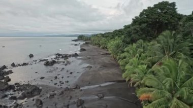 Kara kumlu bir kumsalın, yağmur ormanlarının yanındaki insansız hava aracı videosu. Nuqui bölgesi, Kolombiya