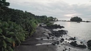 Siyah kum ve palmiye ağaçları olan cennet gibi bir plajın insansız hava aracı videosu. Nuqui bölgesi, Kolombiya