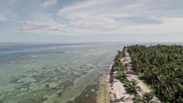 Aerial Drone Video Some Cars Driving Coastal Road Next Caribbean — Vídeo de Stock