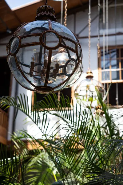 stock image The elegant glass pendant lights illuminate a vibrant indoor garden filled with greenery, creating a serene atmosphere in the space.