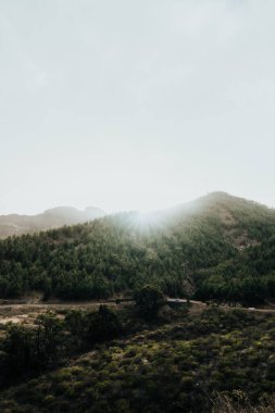 Sabah güneşi sislerin arasından süzülüyor, canlı yeşil tepeleri ve sık ağaçları aydınlatıyor, dağlarda barışçıl bir atmosfer yaratıyor..