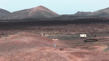 İnsansız hava aracı Lanzarote 'un eşsiz volkanik arazisini keşfediyor. Canlı manzaralar ve güneşin altında izole edilmiş evler..