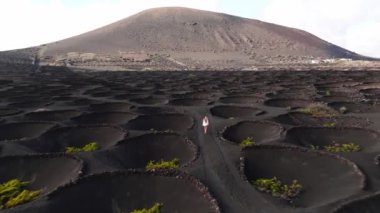 Lanzarote 'deki dairesel taş tepecikleriyle dolu La Geria şarap manzaralı volkanik arazide bir kadının robot görüntüsü..
