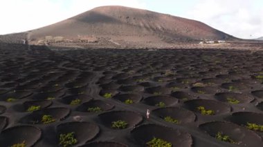 Lanzarote 'deki dairesel taş tepecikleriyle dolu La Geria şarap manzaralı volkanik arazide bir kadının robot görüntüsü..
