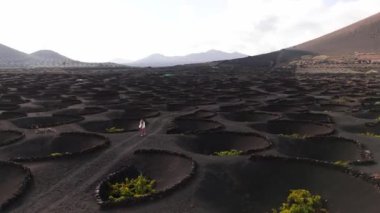 Lanzarote 'deki dairesel taş tepecikleriyle dolu La Geria şarap manzaralı volkanik arazide bir kadının robot görüntüsü..