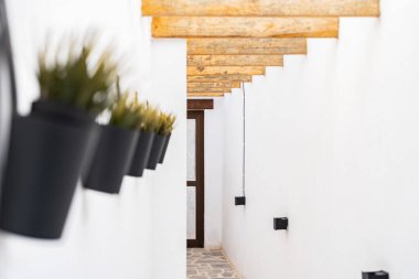 Parlak bir koridorda duvarları yeşillik kaplayan siyah tencereler, rahatlatıcı bir ortam yaratıyor..