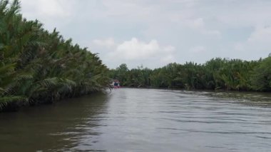 Borneo 'da yoğun nipa palmiyeleriyle çevrili sakin nehirde turistleri taşıyan bir tekne geziyor.