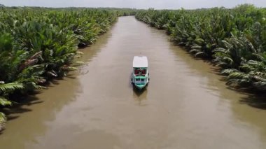 Borneo 'daki yoğun Nipa palmiyeleri arasında turistleri nehirden geçiren yeşil tekne.