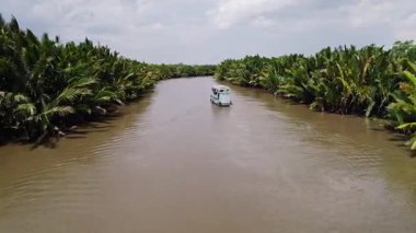 Borneo 'nun güneydoğusundaki tropikal bir bölgede yoğun nipa palmiyelerinden akan bir nehirde yüzen motorlu tekne.