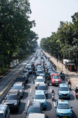 Ağaçlarla dolu kalabalık bir caddeyi dolduran arabalar ve motorsikletler yoğun bir trafik sıkışıklığı yaratıyor.