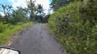 Bali, Endonezya 'da yemyeşil bitki örtüsüyle çevrili dar kırsal yollarda motosiklet gezisi