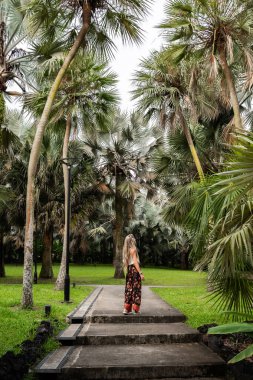 Sarışın turist, tropik botanik bahçesindeki palmiye ağaçlarına hayran.