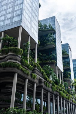 Yeşillik yemyeşil, Park Royal Toplama Oteli 'nde toplanıyor. Singapur şehir manzarasında biyofilik tasarımın çarpıcı bir örneği.