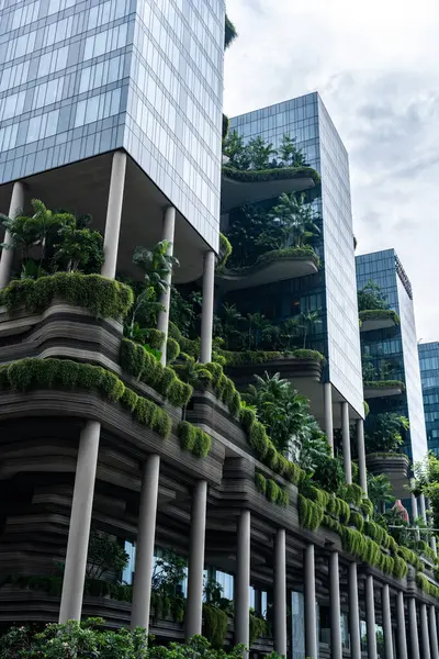 Yeşillik yemyeşil, Park Royal Toplama Oteli 'nde toplanıyor. Singapur şehir manzarasında biyofilik tasarımın çarpıcı bir örneği.