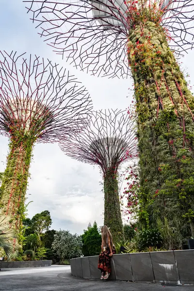 Supertree Grove 'daki fütüristik bahçelerden hoşlanan genç bir kadın körfez kenarındaki bahçeler, Singapur.