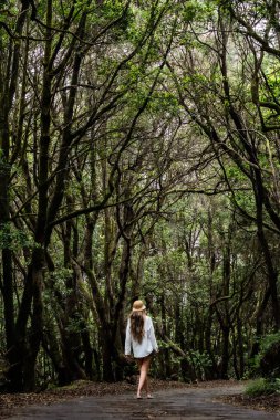 Garaonay Milli Parkı 'nda, La Gomera' da, Kanarya Adaları 'nda, İspanya' da, doğanın ve tatilin tadını çıkaran sisli bir ormanda yürüyen bir turist.