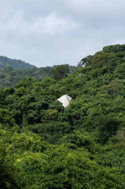 Tayrona ulusal parklarının çarpıcı manzarası yemyeşil bitki örtüsü ve eşsiz kaya oluşumları Kolombiya doğal güzelliğini gözler önüne seriyor.
