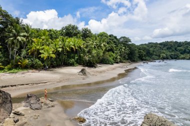 Dalgalar güzel bir plaja çarpıyor palmiye ağaçları ve yemyeşil bitki örtüsü Nuqui, Choco, Kolombiya 'da