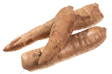 Cassava Raw Tuber - Manihot Esculenta; Beyaz Arkaplanda