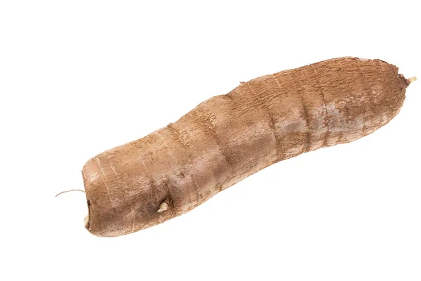 Cassava Raw Tuber Manihot Esculenta Белом Фоне — стоковое фото