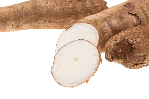 Cassava Raw Tuber Manihot Esculenta Witte Achtergrond — Stockfoto