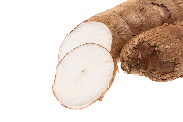 Cassava Raw Tuber Manihot Esculenta Λευκό Φόντο — Φωτογραφία Αρχείου