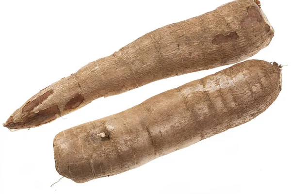 Cassava Raw Tuber Manihot Esculenta Vit Bakgrund — Stockfoto